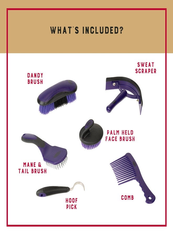 Weaver Equine 6-Piece Horse Grooming Kit, Ergonomic Gentle Horse Care Kit, Equestrian Supplies for Bathing Support, Detangling, and More, Purple/Black - Image 3